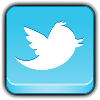 16x16 Icon Twitter Image Free Icon PNG images