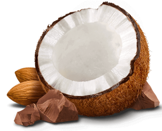 Png Almond Vector PNG images