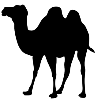 Silhouette Clip Art Of Camel PNG images