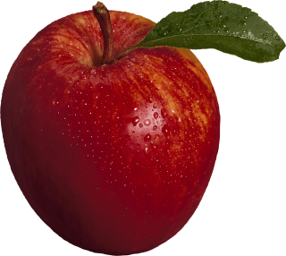 Download Red Apple Png Image Hq Png PNG images