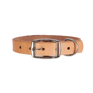 Beige Metal And Leather Dog Collar Photo HD PNG images