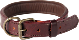 Brown Leather Dog Collar Picture PNG images