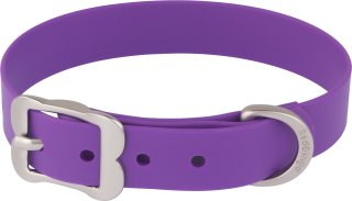 Leather And Metal Dog Collar Purple Design Images PNG images