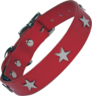 Metal Star And A Red Dog Collar Photos PNG images
