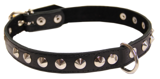 Photo Metal Belt And Dog Collar Images PNG images