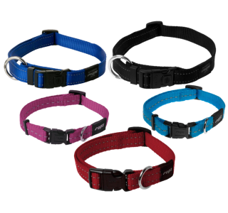 Pictures Color Dog Collar For Pets PNG images