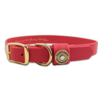 Red Background Dog Collar For Special Dogs Pictures PNG images