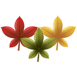 Autumn, Leaves, Chinese, Red Maple Leaf PNG images