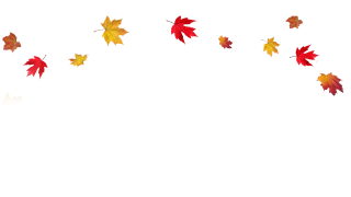Vectors Icon Falling Leaves Free Download PNG images
