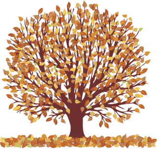 Download For Free Falling Leaves Png In High Resolution PNG images