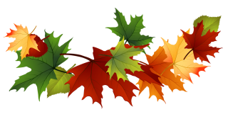 Download Falling Leaves Latest Version 2018 PNG images