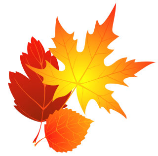 High-quality Falling Leaves Cliparts For Free! PNG images