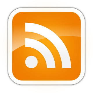 Orange Feed Icon Png PNG images