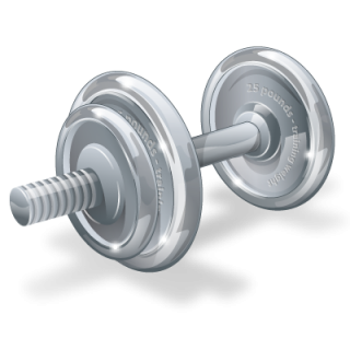  Fitness, Gym, Physical, Weight, Weightlifting, Weights Icon | Icon PNG images