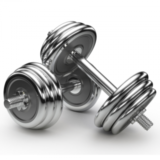 Galleries Related: Gym Png , Gym Icon Vector , PNG images