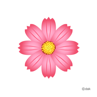 Cosmos Flower｜Pictures Of Clipart And Graphic Design And PNG images