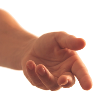 Hands Png, Hand Image PNG images