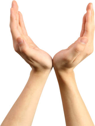 Hands Png, Hand Image Photo PNG images