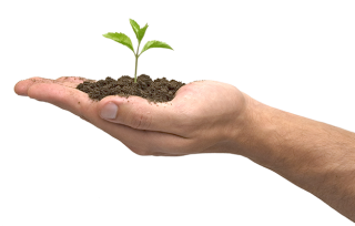 Soil, Tree, Hands Png PNG images