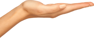 Woman Hands, Handful Png PNG images