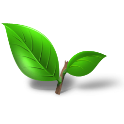 Image Leaf Icon Free PNG images