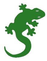 Vector Free Lizard PNG images