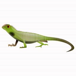 Lizard Size Icon PNG images