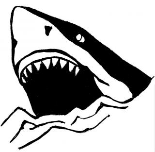 Vector Png Shark PNG images
