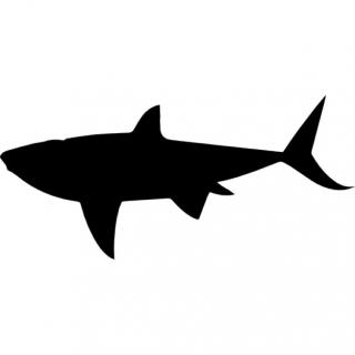 Shark Silhouette Icon PNG images