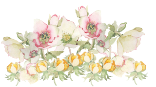 Spring Flowers Png PNG images