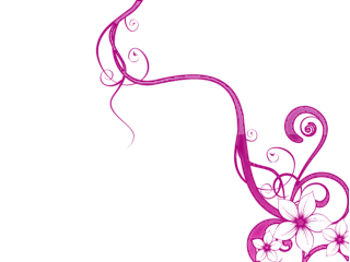 Image Swirls PNG Transparent PNG images