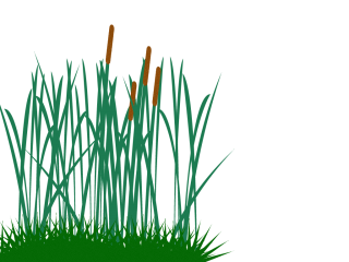 Tall Grass Clip Art Png PNG images