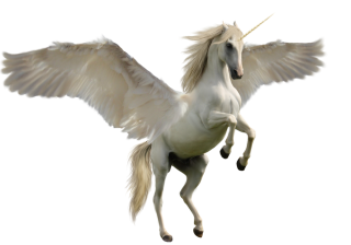 White Unicorn PNG PNG images
