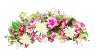 Flower Watercolor Transparent PNG PNG images
