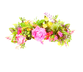 HD Flowers Image Watercolor PNG PNG images
