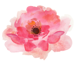 Pink Watercolor Flowers High-quality Png PNG images