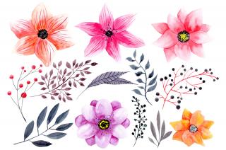 Rustic Watercolor Flowers, Design PNG Photo PNG images