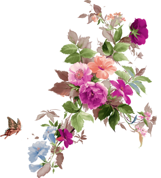 Watercolor Flowers PNG images