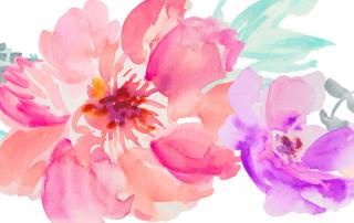 Watercolor Moders Style Flowers PNG images