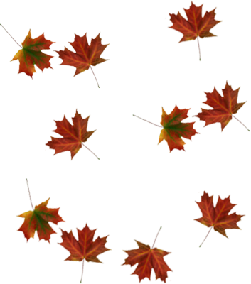 Falling Leaves Transparent Transparent PNG Pictures - Free Icons and