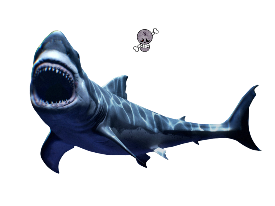 Shark Transparent PNG Pictures - Free Icons and PNG Backgrounds