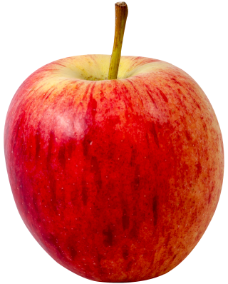 https://www.freeiconspng.com/thumbs/apple-png/apple-transparent-fruit-clipart-7.png
