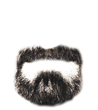 Download Daring Beard - Face Roblox Png Cool PNG Image with No Background 