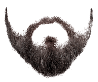transparent long beard