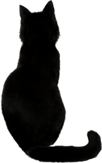 Black Cat Png Hd - Imagenes De Gatos Animados PNG Transparent With