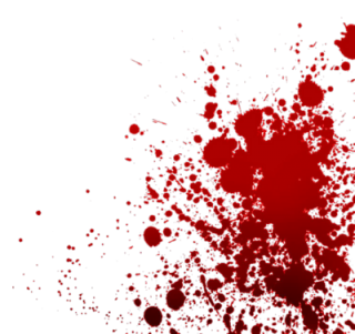 bloody frame png
