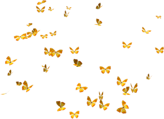 Bướm đủ loại PNG sẽ làm bạn bất ngờ vì số lượng và đa dạng hình dạng mà nó mang lại. Với hàng trăm loại bướm, bạn có thể tìm thấy chúng đúng với sở thích và cá tính của mình. Hãy mở cửa sổ sáng để tìm kiếm bộ sưu tập bướm đủ loại PNG để trang trí cho bức hình của bạn!