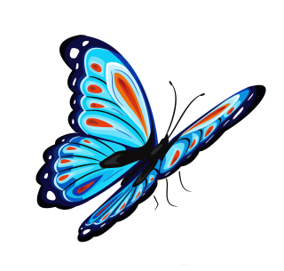 Butterfly PNG, Butterfly Transparent Background - FreeIconsPNG