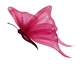 butterfly vector png