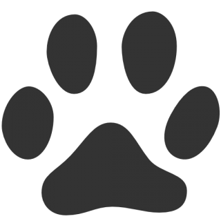 Cat Icon Transparent Cat Png Images Vector Freeiconspng